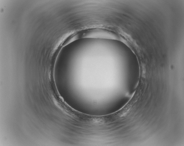 X0000059080060200510172040