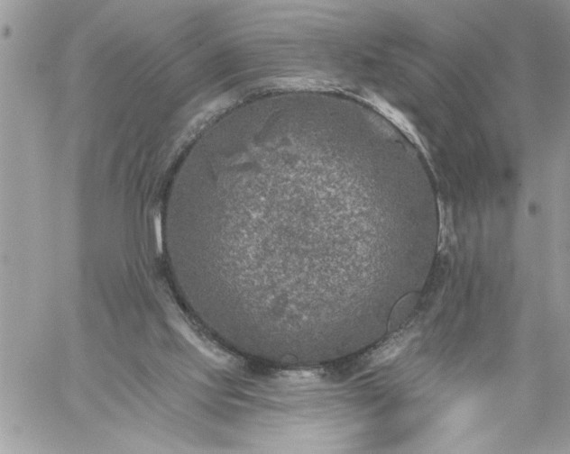 X0000059080061200510172040