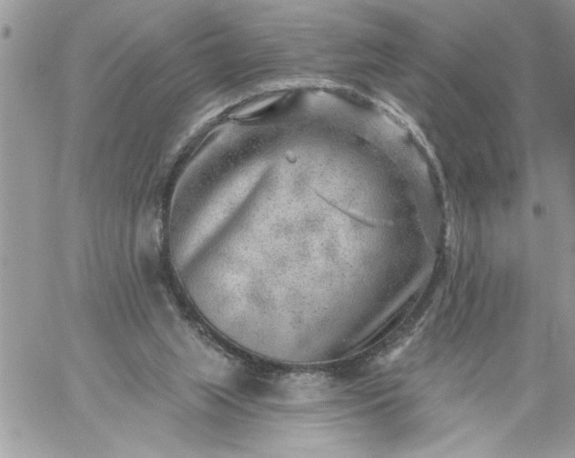 X0000059080063200510172040