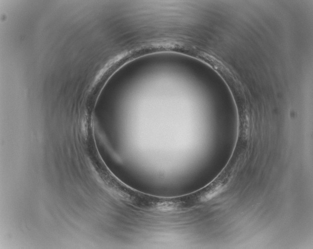 X0000059080064200510172040