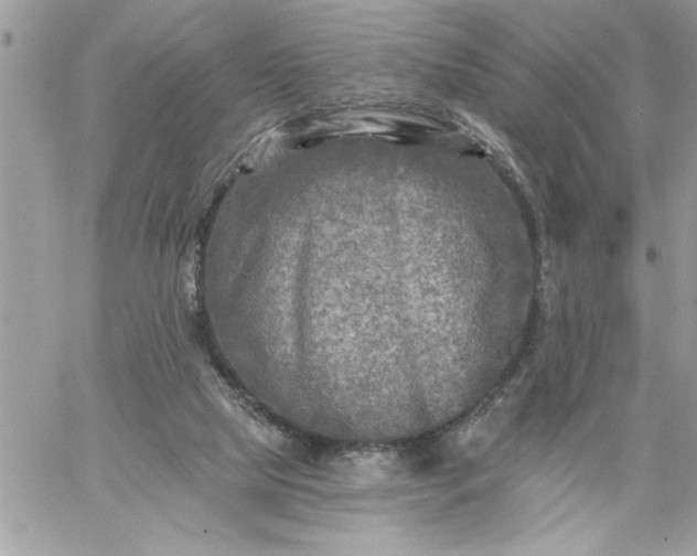 X0000059080065200510172040