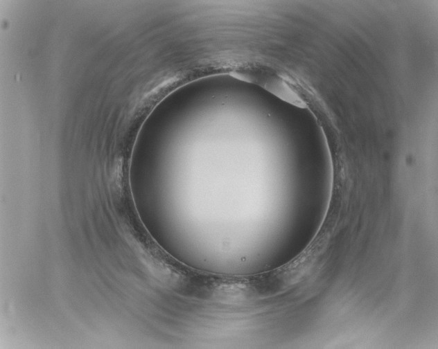 X0000059080066200510172040