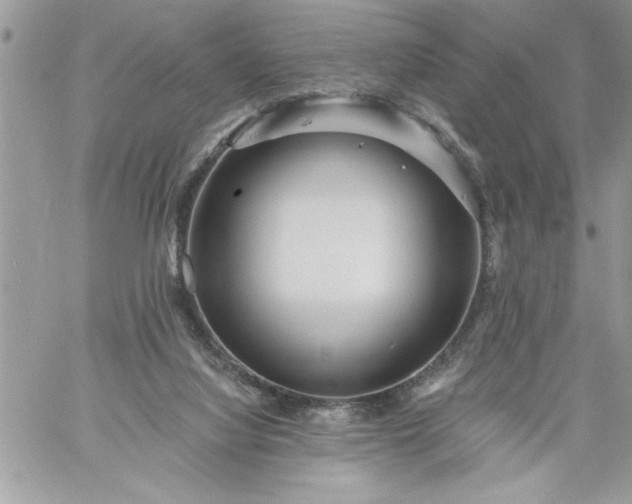 X0000059080068200510172040