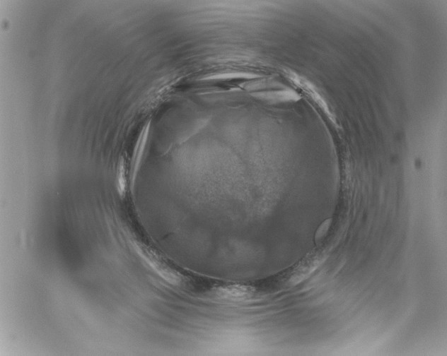 X0000059080069200510172040