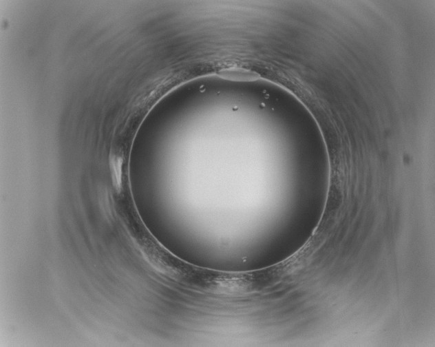 X0000059080070200510172040