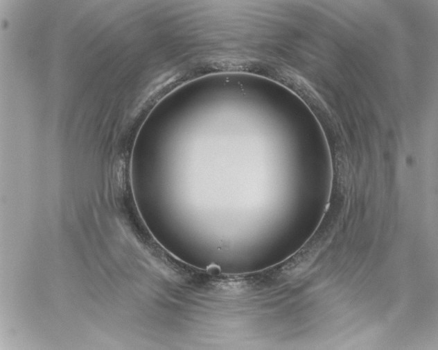 X0000059080071200510172040