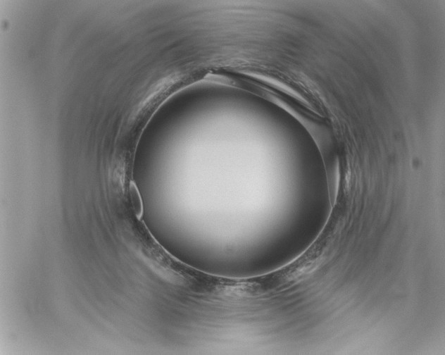 X0000059080072200510172040