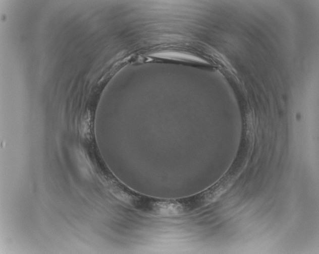 X0000059080073200510172040