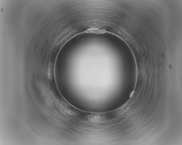 X0000059080074200510172040