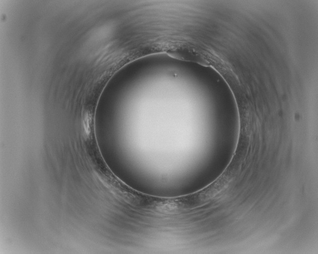 X0000059080075200510172040