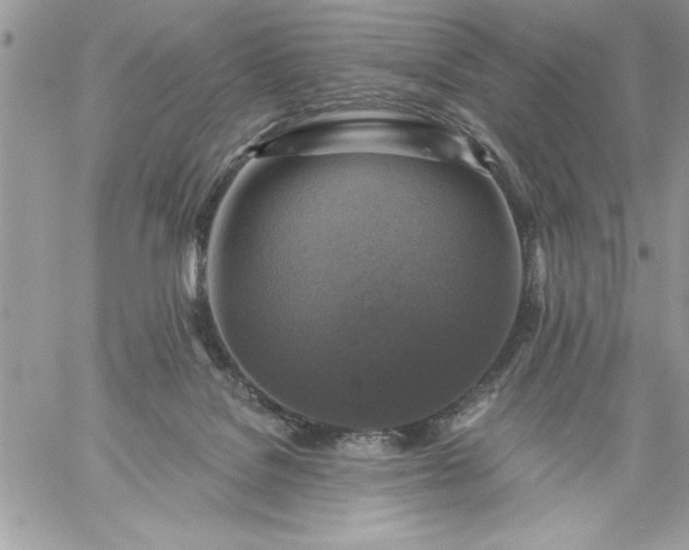 X0000059080076200510172040