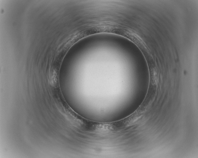 X0000059080077200510172040