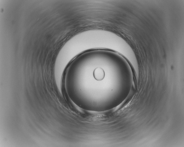 X0000059080078200510172040