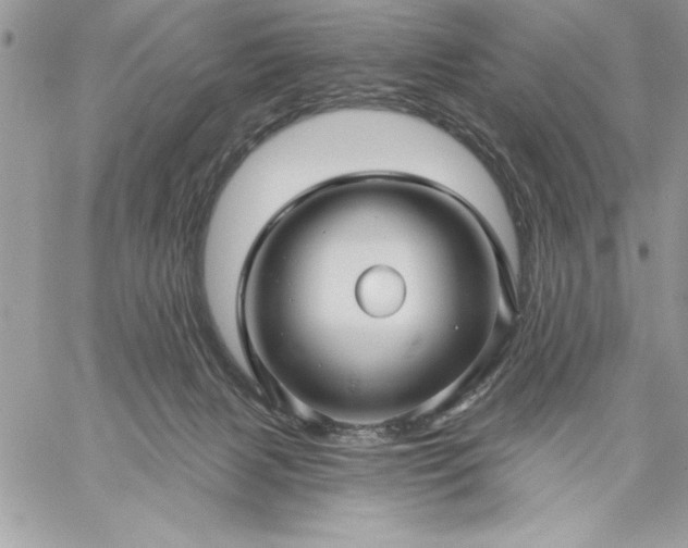 X0000059080079200510172040