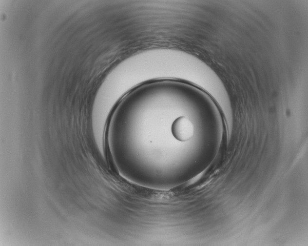 X0000059080080200510172040