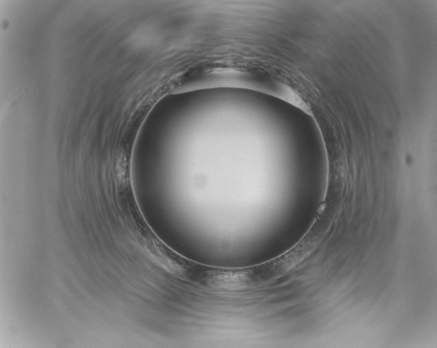 X0000059080081200510172040