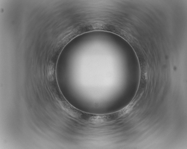 X0000059080082200510172040