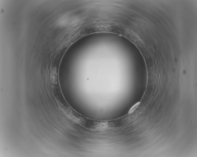 X0000059080083200510172040