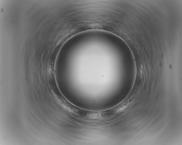 X0000059080084200510172040