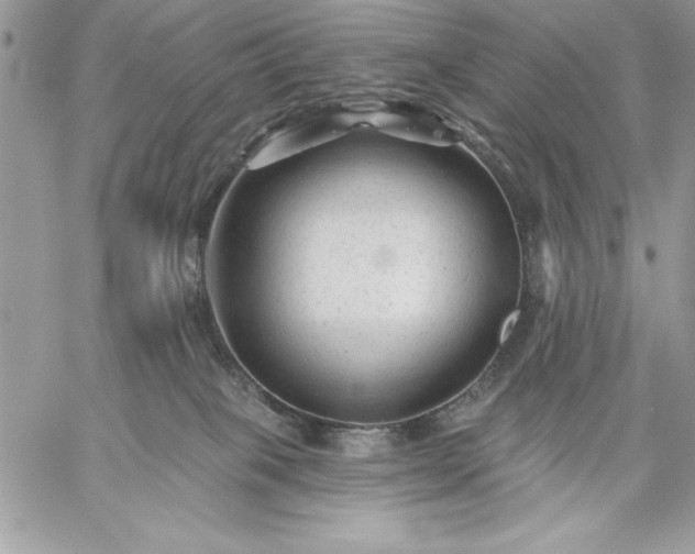 X0000059080085200510172040