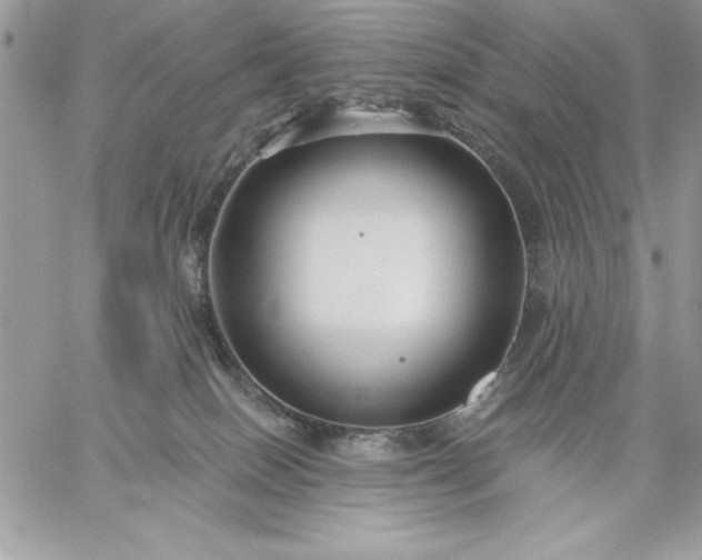 X0000059080086200510172040