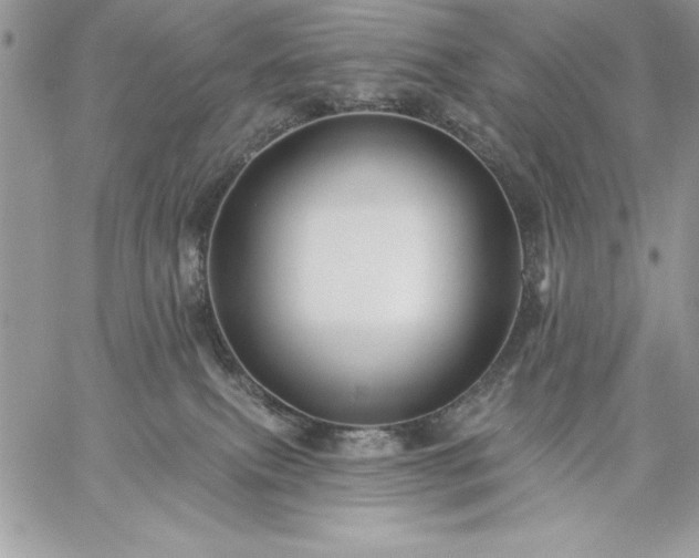 X0000059080087200510172040