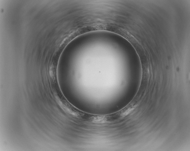 X0000059080088200510172040