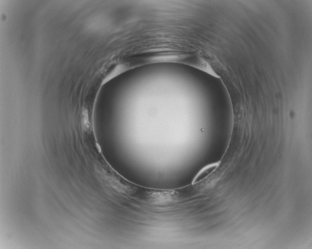 X0000059080089200510172040