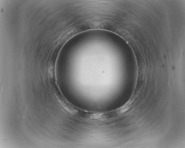 X0000059080090200510172040