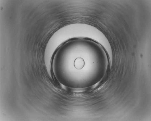 X0000059080091200510172040