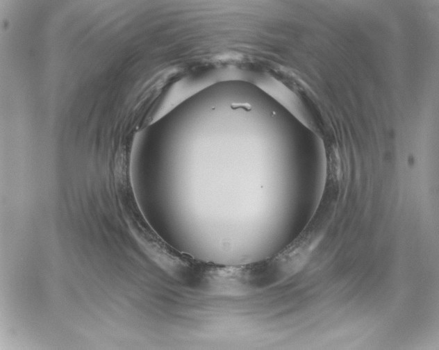 X0000059080092200510172040