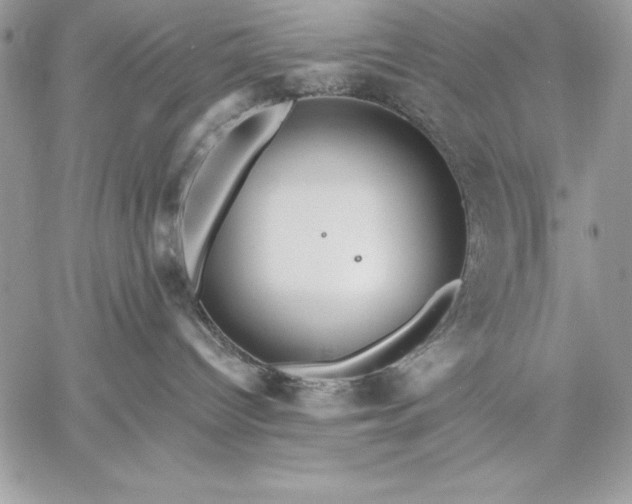 X0000059080096200510172040