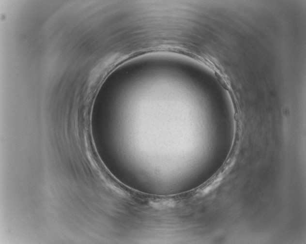 X0000059080097200510172040