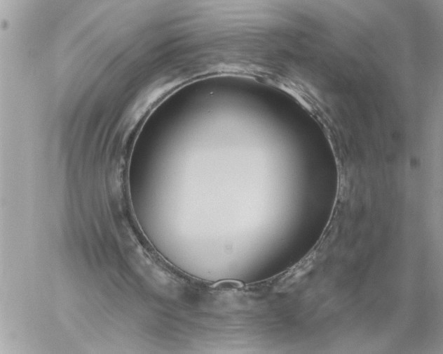 X0000059080098200510172040