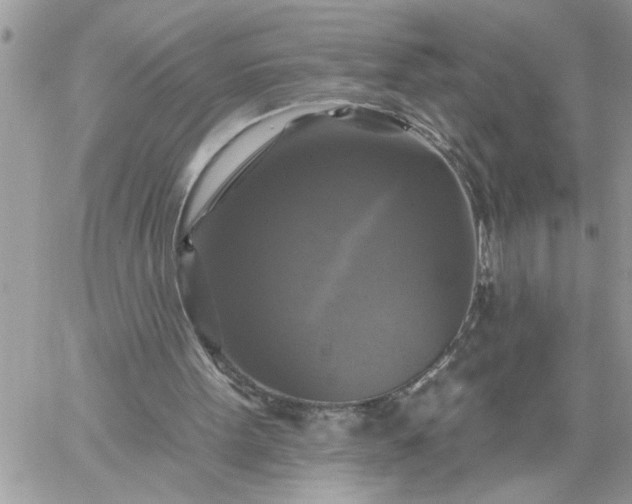 X0000059080099200510172040