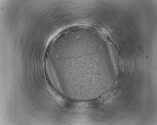 X0000059080100200510172040