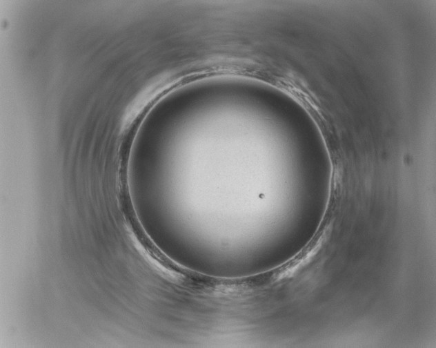 X0000059080101200510172040