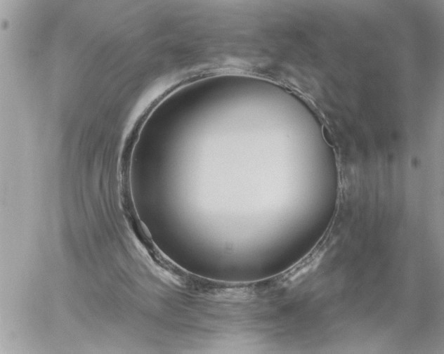 X0000059080102200510172040