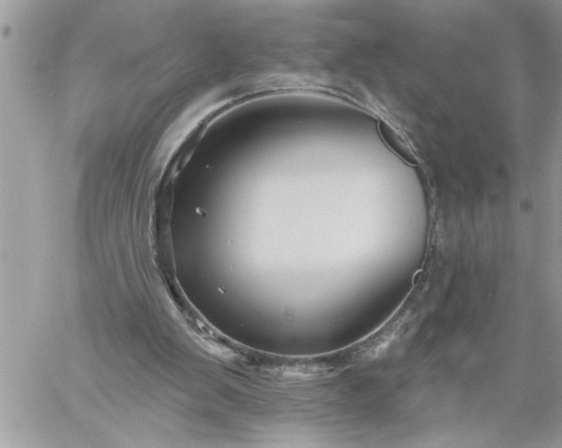 X0000059080103200510172040