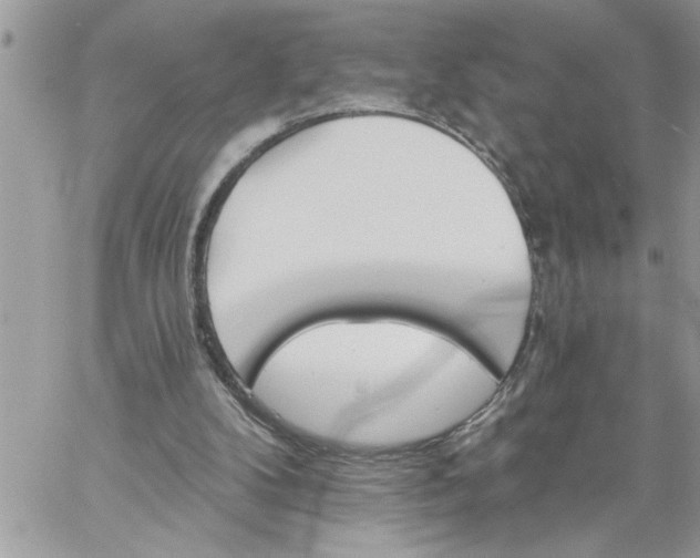 X0000059080104200510172040