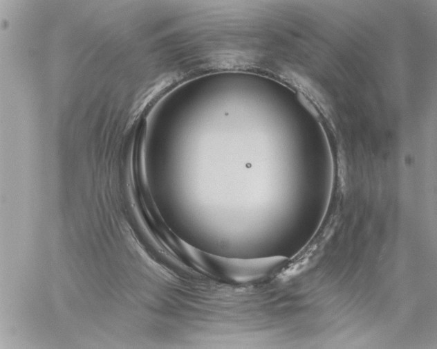 X0000059080105200510172039