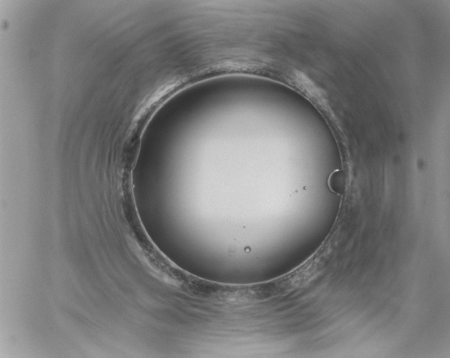 X0000059080106200510172039