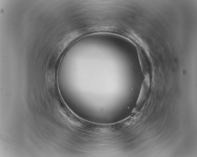 X0000059080107200510172039