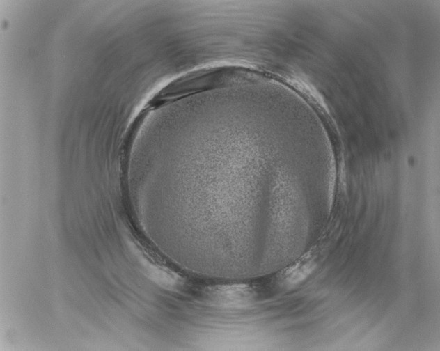 X0000059080108200510172039