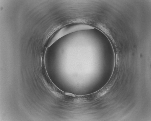 X0000059080109200510172039