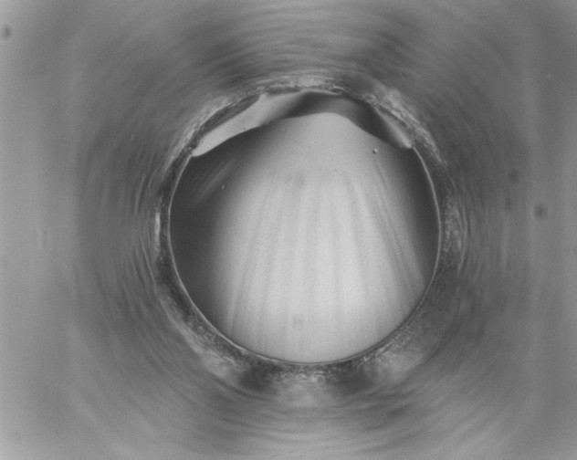 X0000059080110200510172039