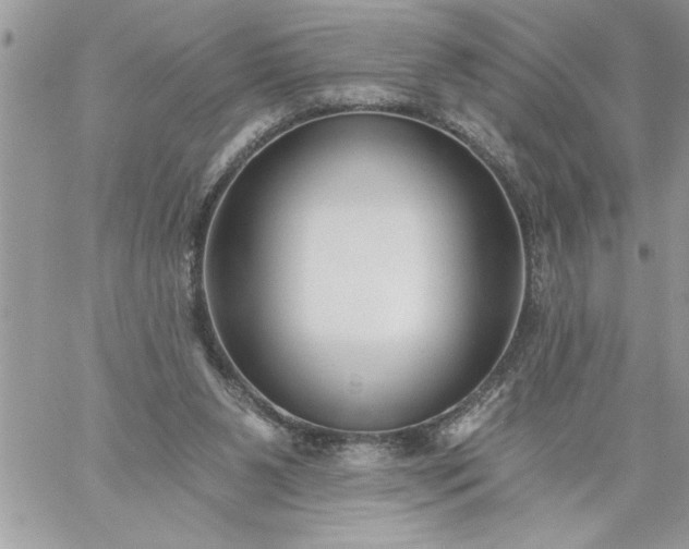 X0000059080111200510172039