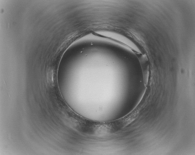 X0000059080115200510172039