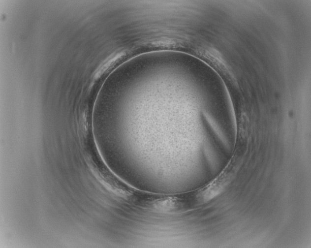 X0000059080116200510172039