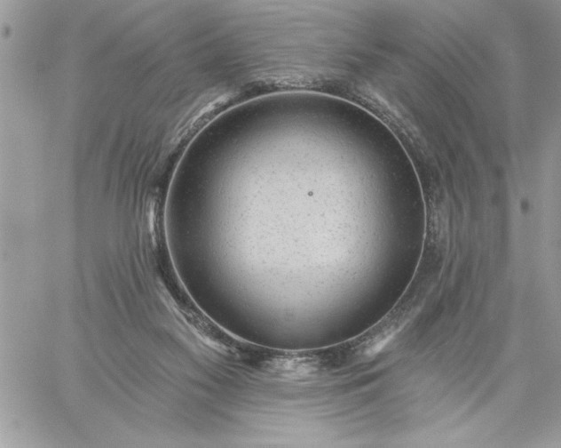 X0000059080117200510172039